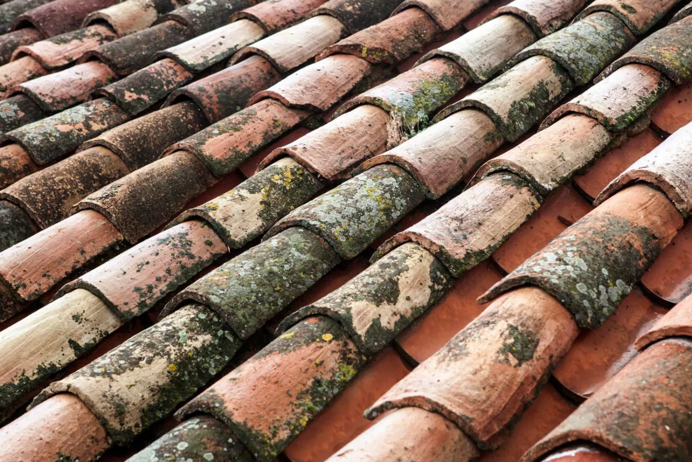 Avant : Toiture en tuiles canal en terre cuite : envahie de mousse et de lichens, puis nettoyée (Montfort-sur-Argens)