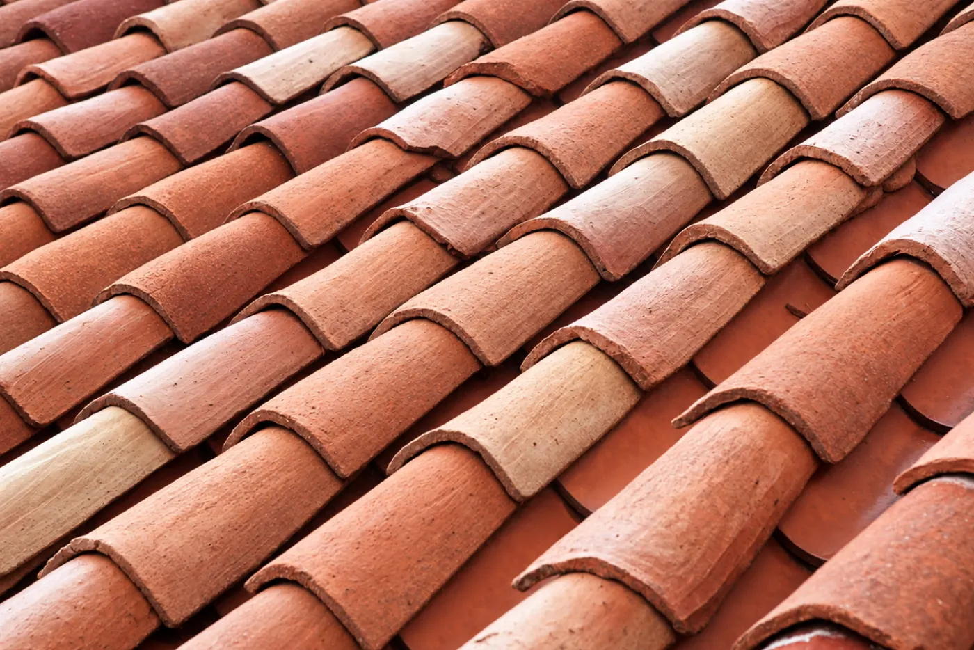 Après : Toiture en tuiles canal en terre cuite : envahie de mousse et de lichens, puis nettoyée (Mâcon)