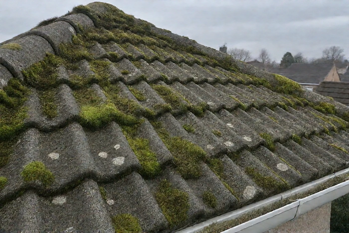 Avant : Toiture en tuiles béton : couverte de mousse, puis démoussée (Comps)